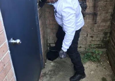 Affordable Basic Pest Control