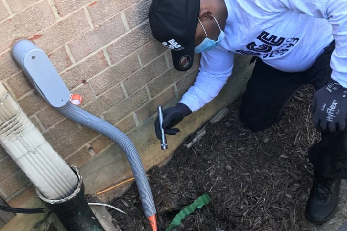 Rat Pest Control