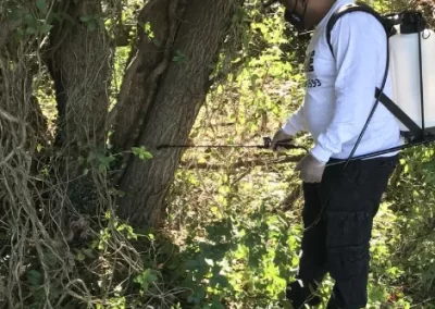 Dependable Basic Pest Control