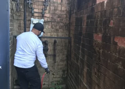 Professional Basic Pest Control