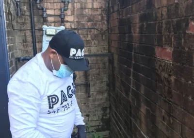 Reliable Basic Pest Control