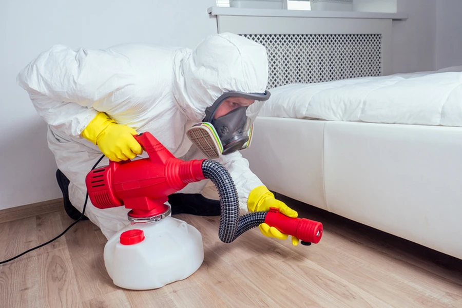 Common Myths About Bed Bug Removal Debunked in Laurel, MD