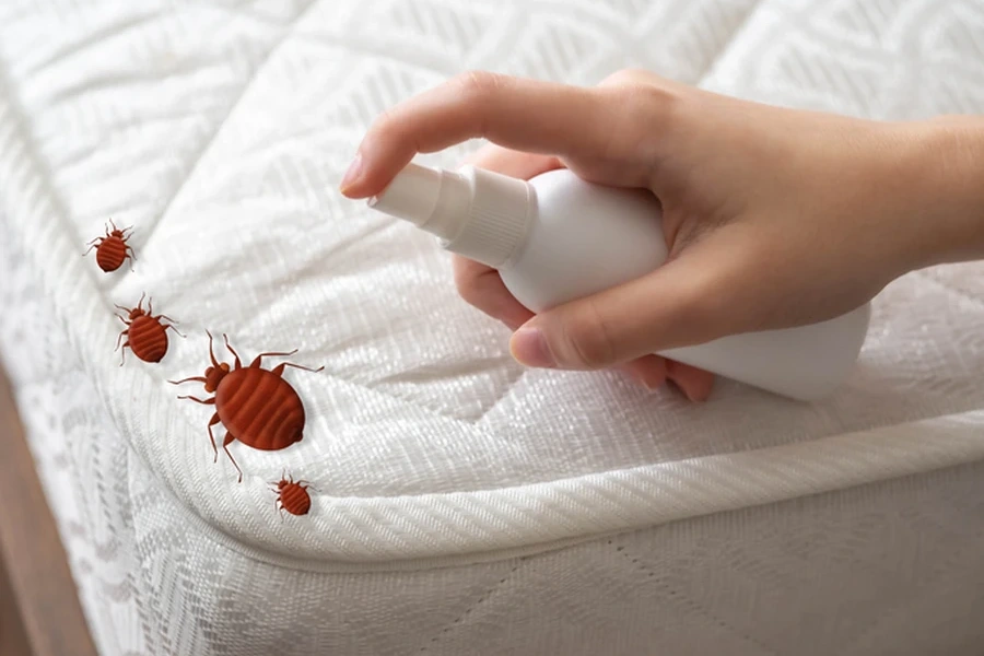 Bed Bug Services