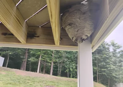 Reliable Local Pest Control